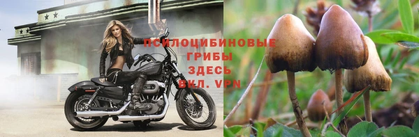 винт Дмитров