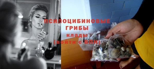 дживик Дмитриев