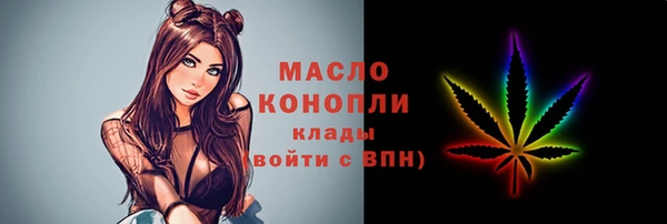 дживик Дмитриев