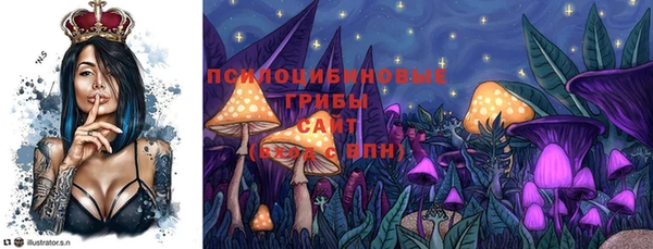 винт Дмитров