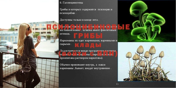 дживик Дмитриев