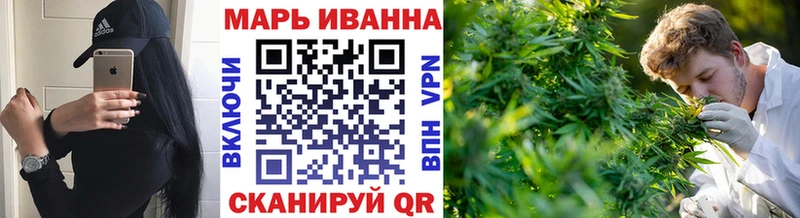 Купить где  Сясьстрой  Бошки Шишки Amnesia 